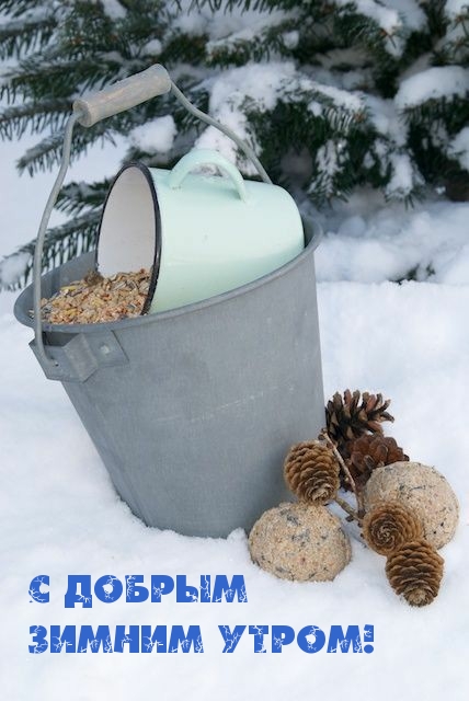 С Добрым Зимним Утром!