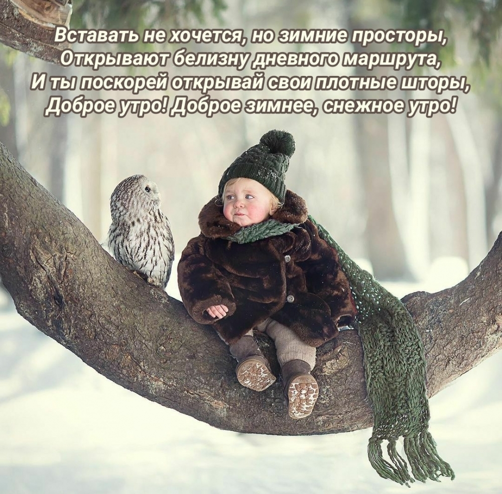 Вставать не хочется, но зимние просторы…