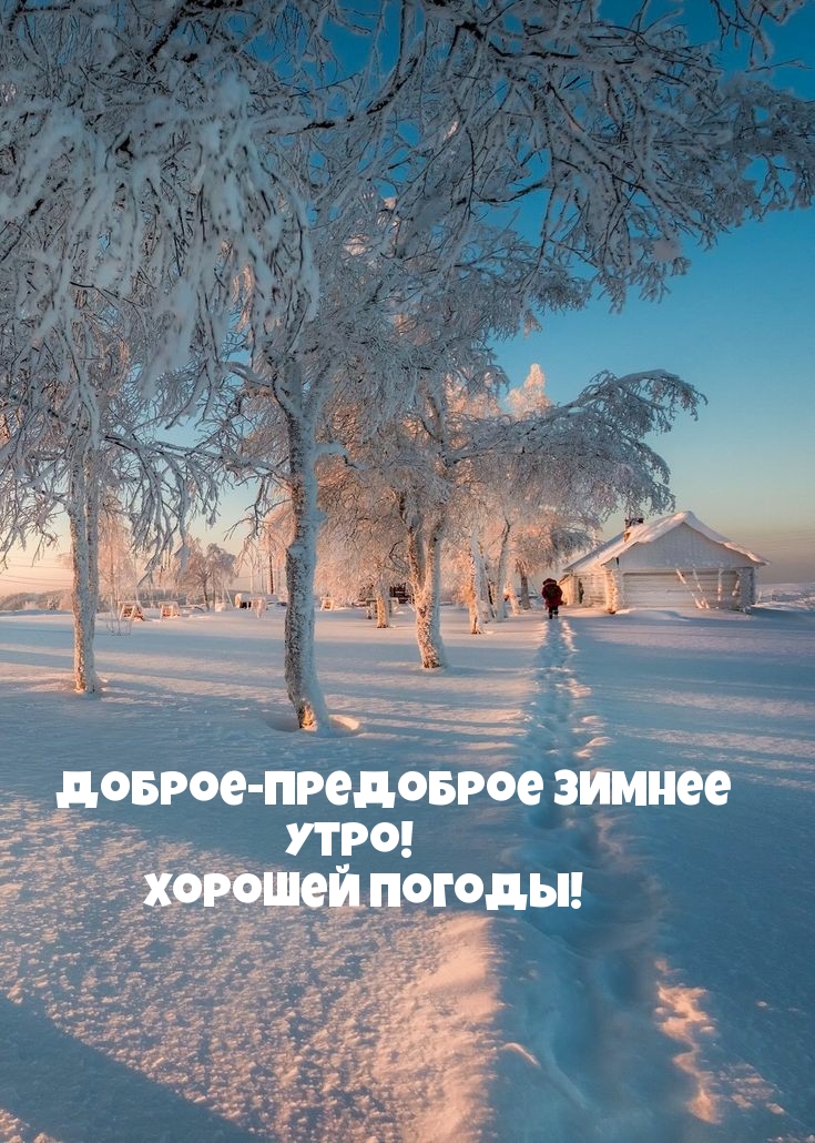 Доброе-предоброе зимнее утро!