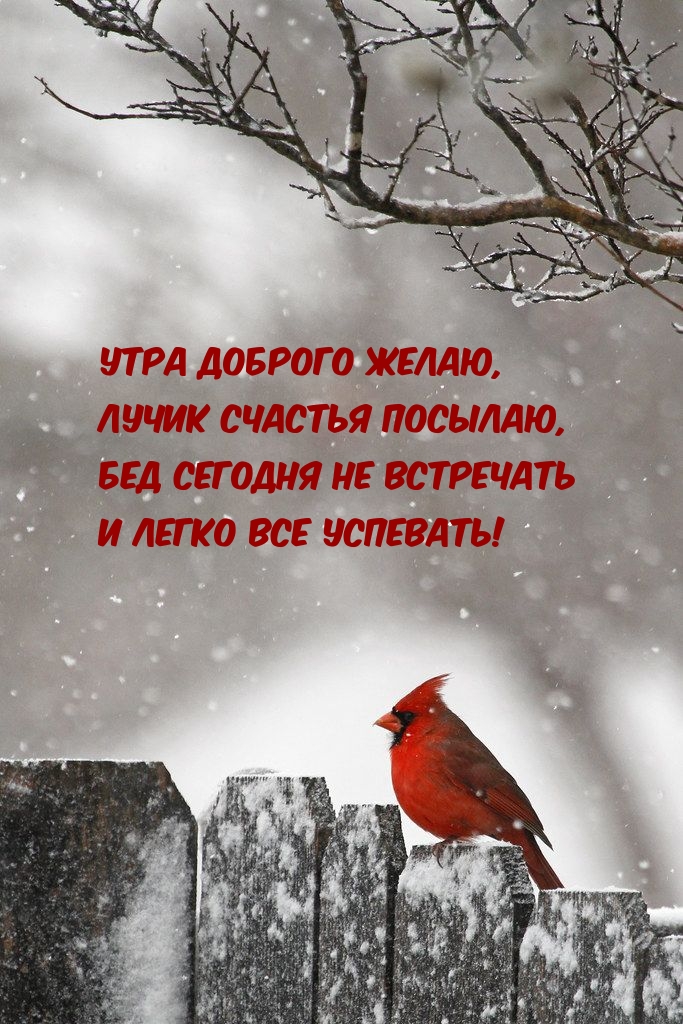 Утра доброго желаю, Лучик счастья посылаю!