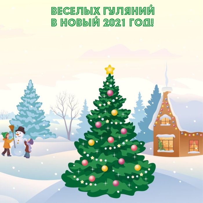 Веселых гуляний в Новый 2021 год!