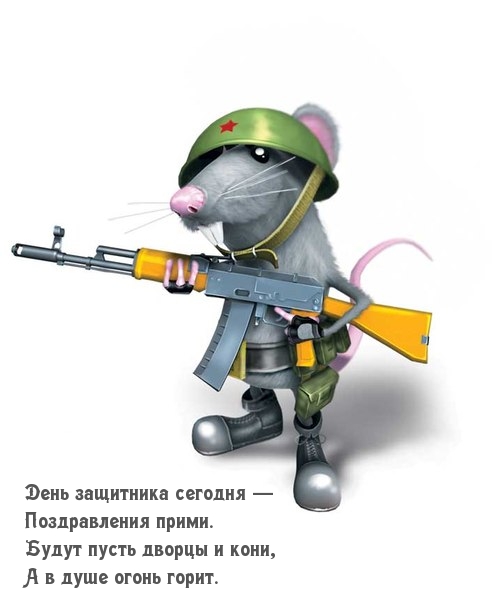 День защитника сегодня! Прими поздравления в стихах