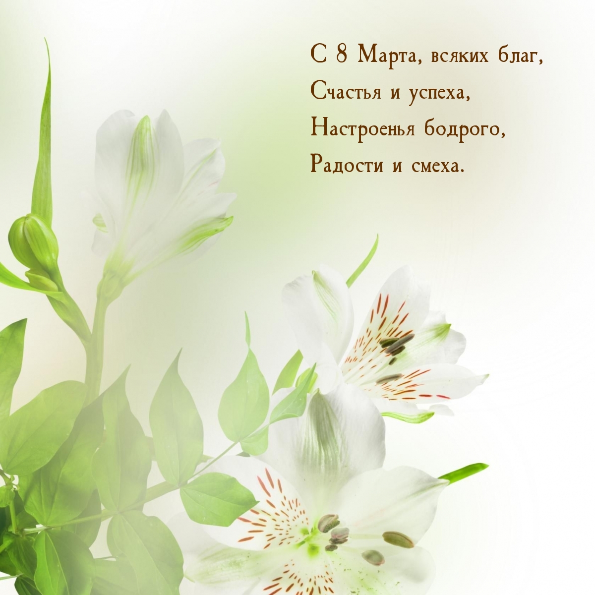 С 8 Марта, всяких благ! Радости и смеха