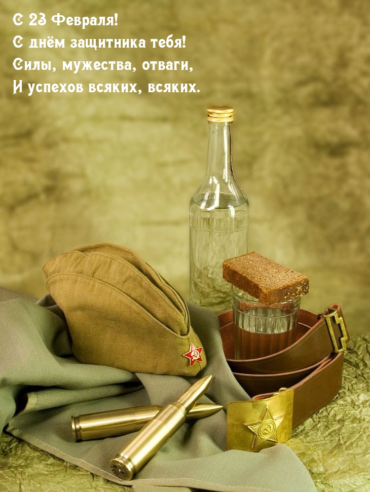 С 23 Февраля! С днём защитника тебя! успехов!