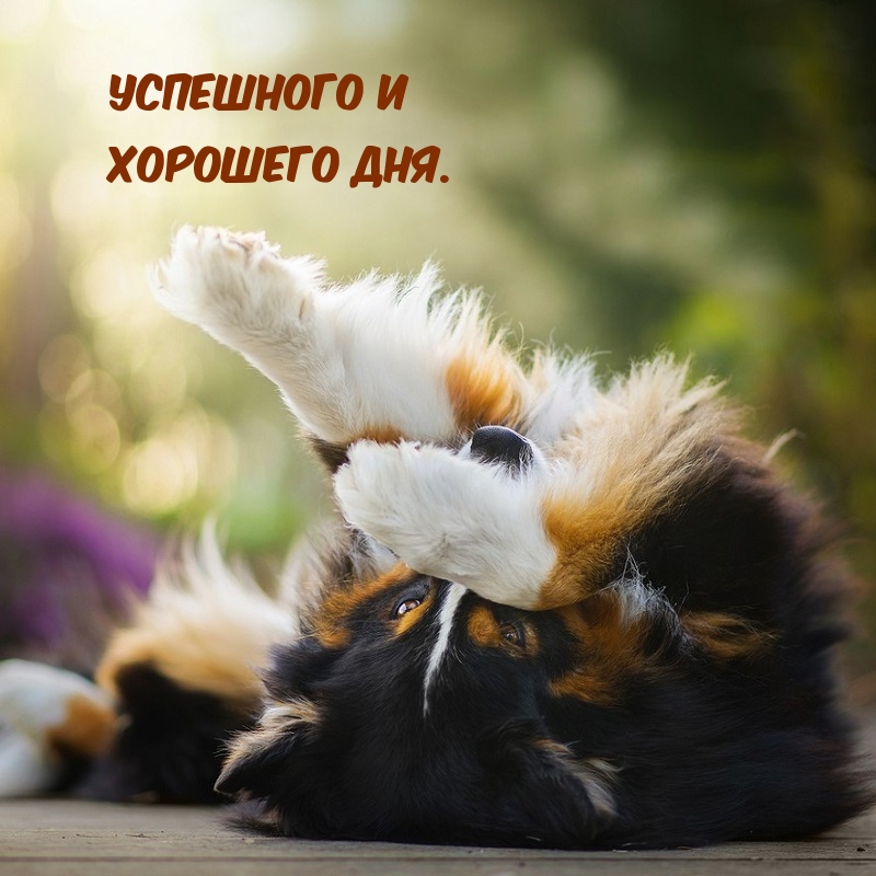успешного и хорошего дня.