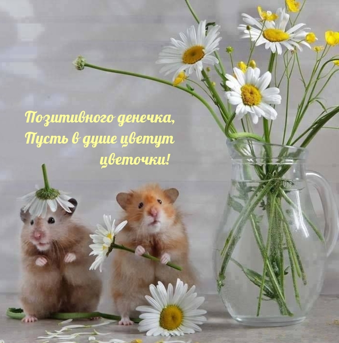 Позитивного денечка, Пусть в душе цветут цветочки!