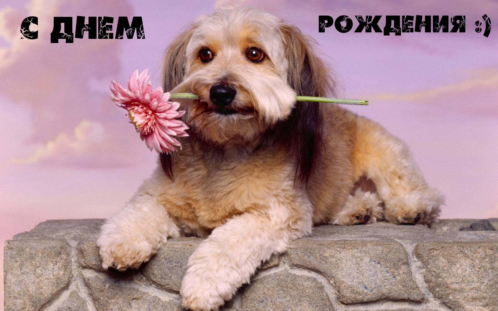 С днем рождения!