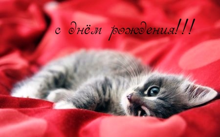 C днём рождения