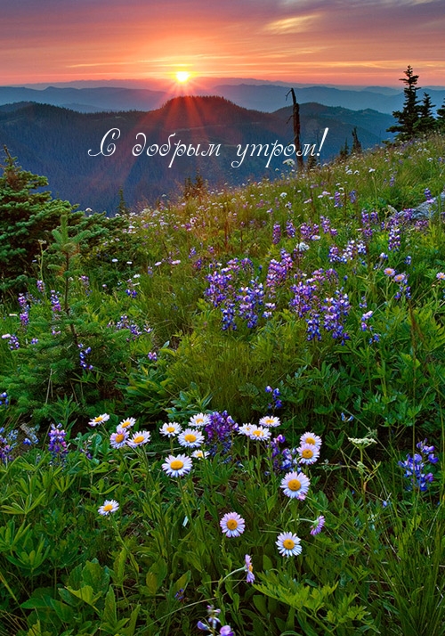 С добрым утром!