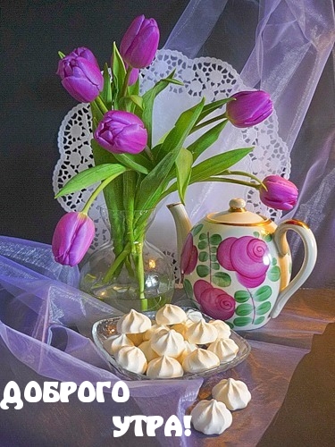 Доброго утра