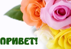 Привет!