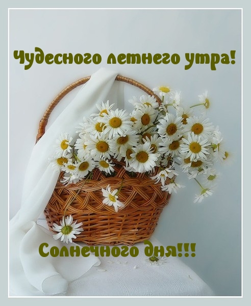 Чудесного летнего утра