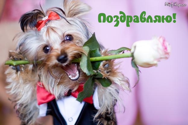 Поздравляю!