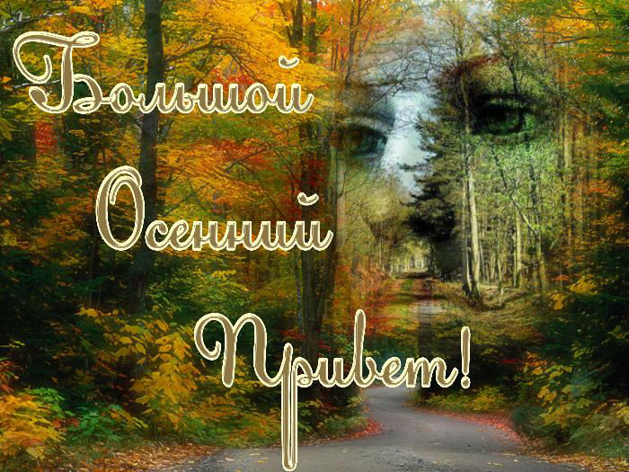 Большой осенний привет!