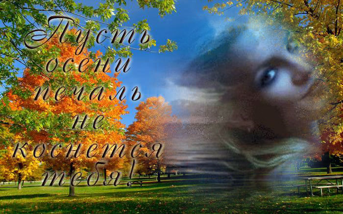 Картинки с надписями.  Пусть осени печаль.