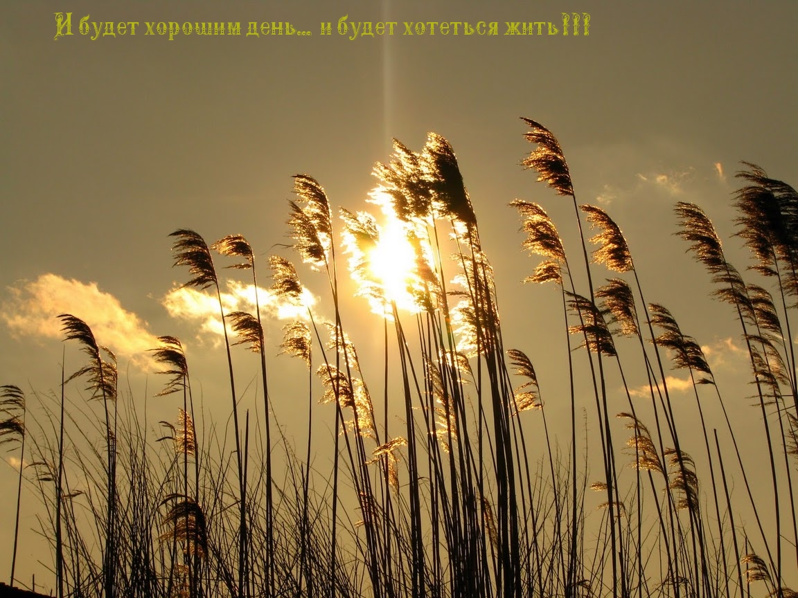 Будет хорошим день