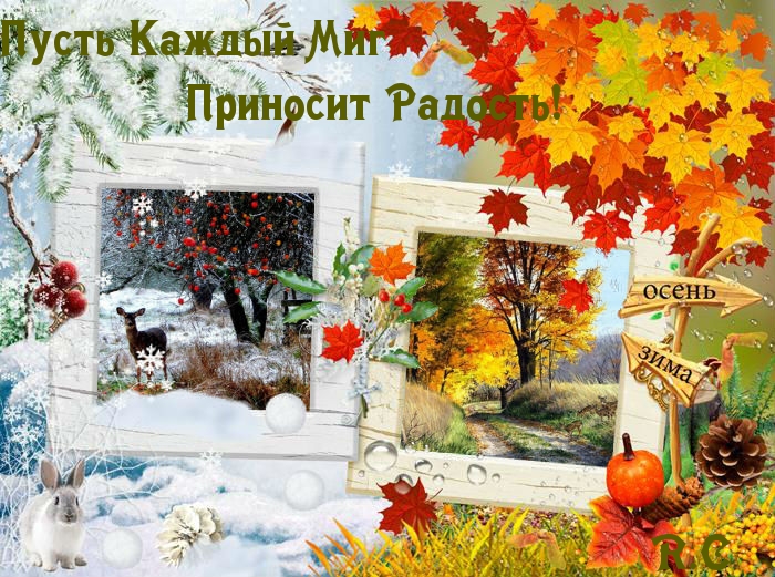 Пусть каждый миг приносит радость!