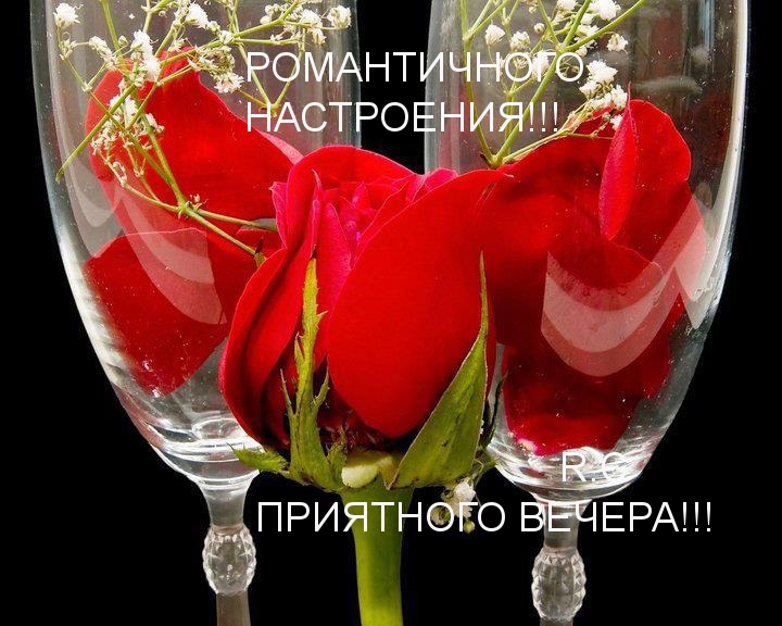 Романтичного настроения!