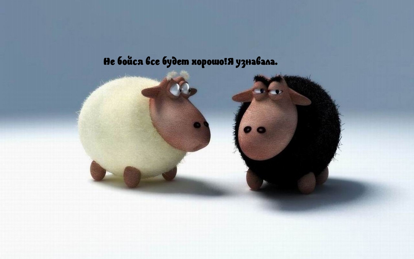Не бойся все будет хорошо!