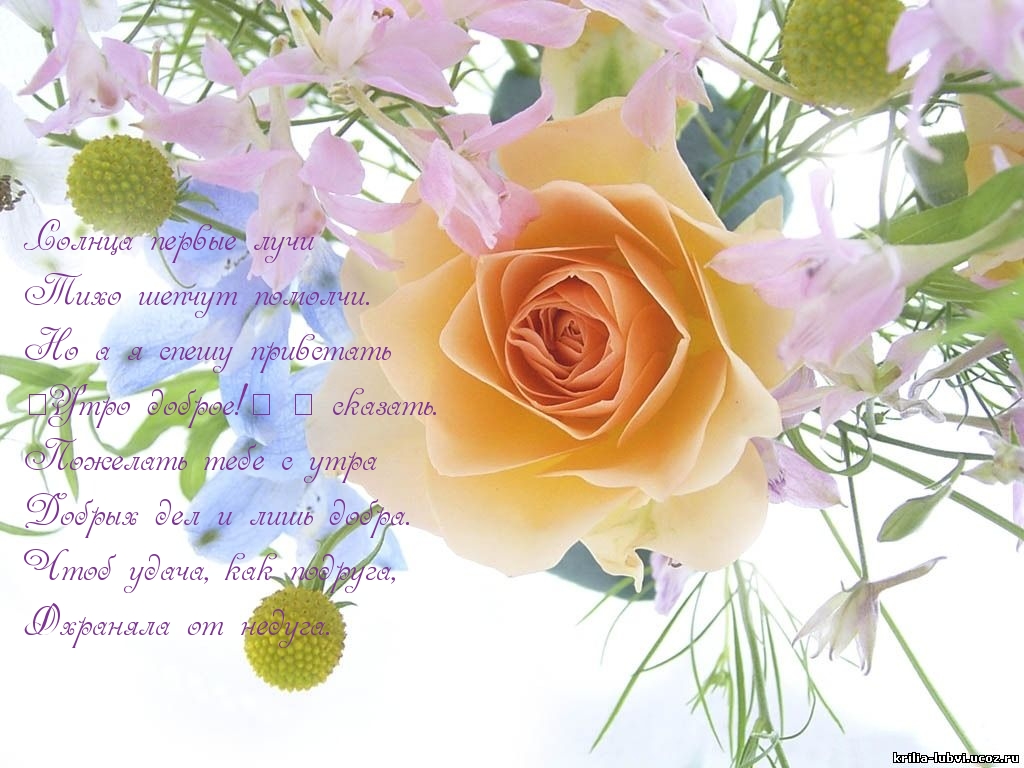 «Утро доброе!» — сказать