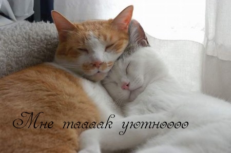 Мне таааак уютноооо