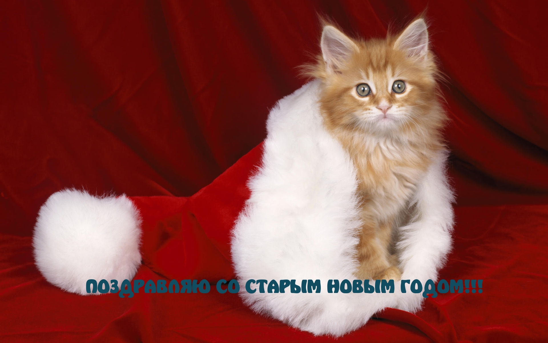 ПОЗДРАВЛЯЮ СО СТАРЫМ НОВЫМ ГОДОМ!