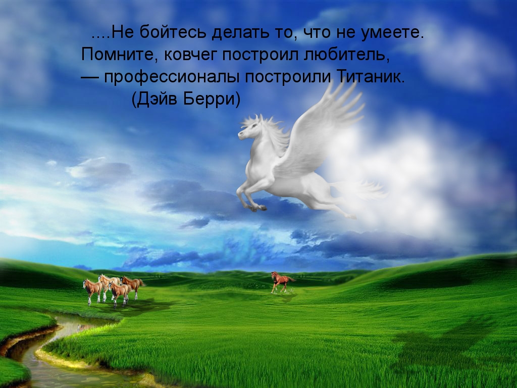 Не бойтесь делать то, что не умеете