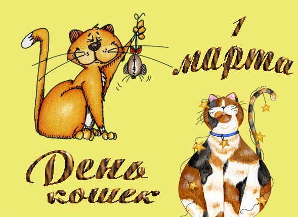 1 марта — День кошек