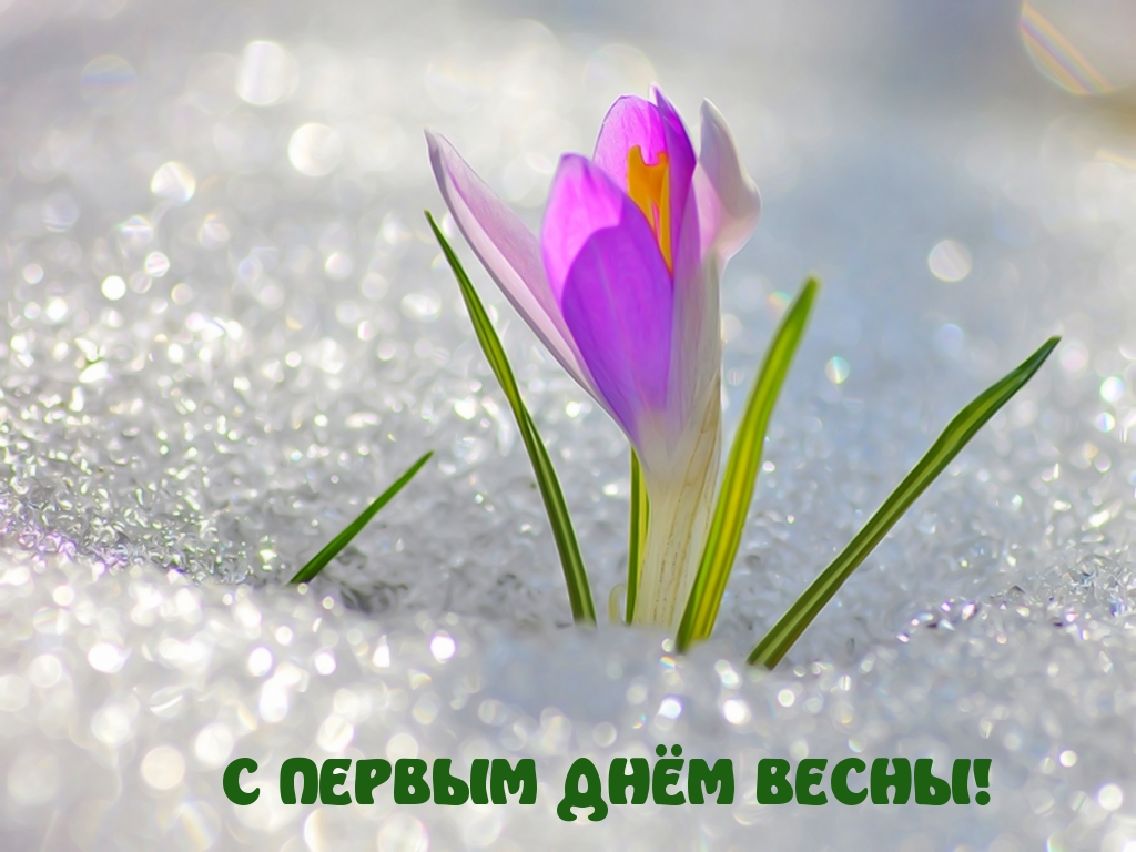 С ПЕРВЫМ ДНЁМ ВЕСНЫ!