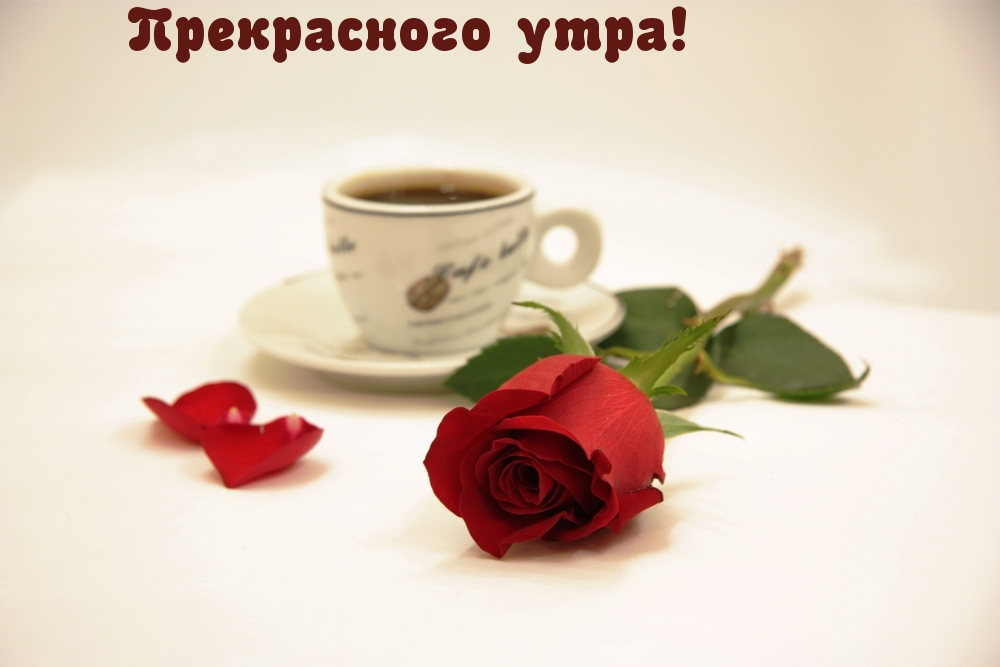 Прекрасного утра!