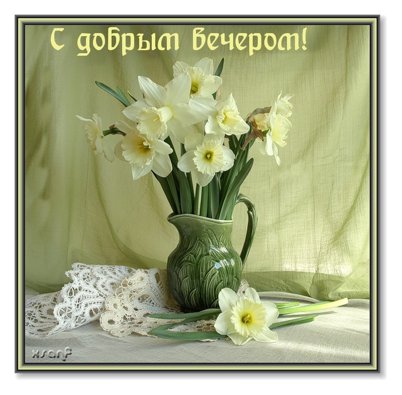 С добрым вечером!