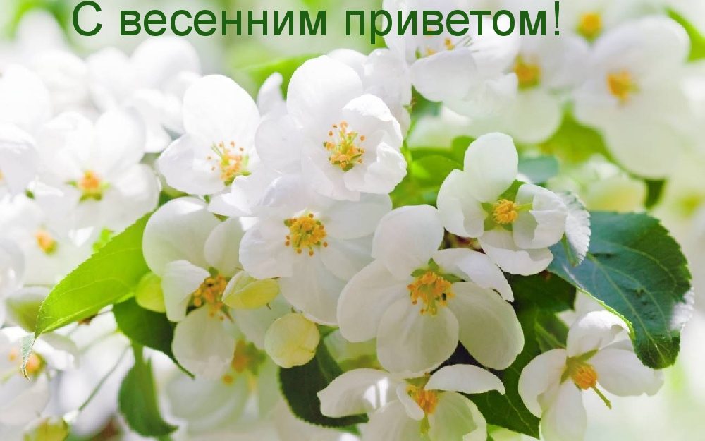 С весенним приветом!