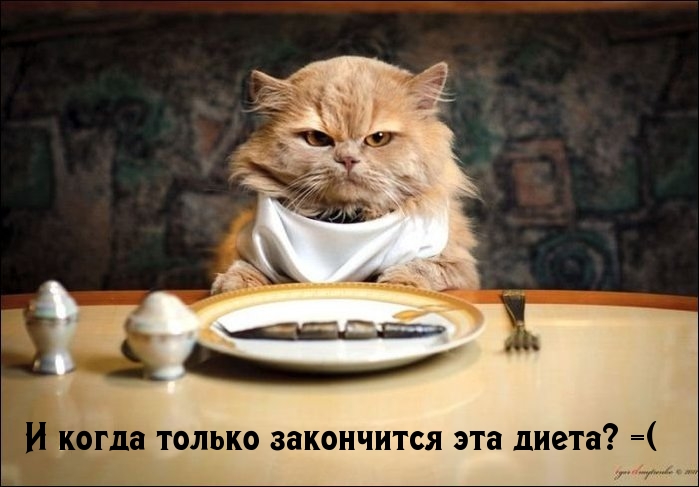 И когда только закончится эта диета? =(