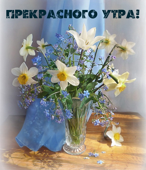 Прекрасного утра!