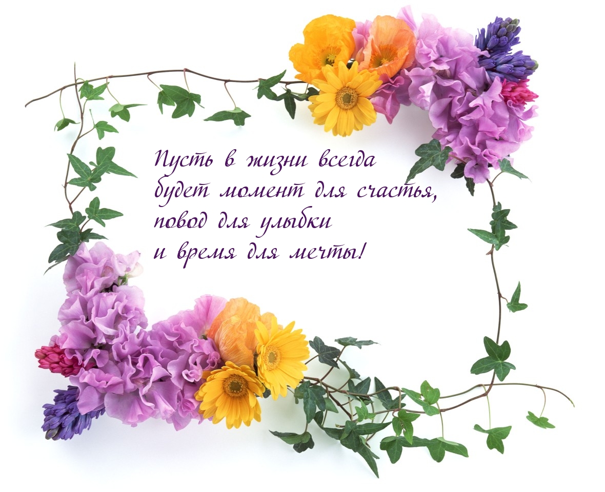 Повод для улыбки
