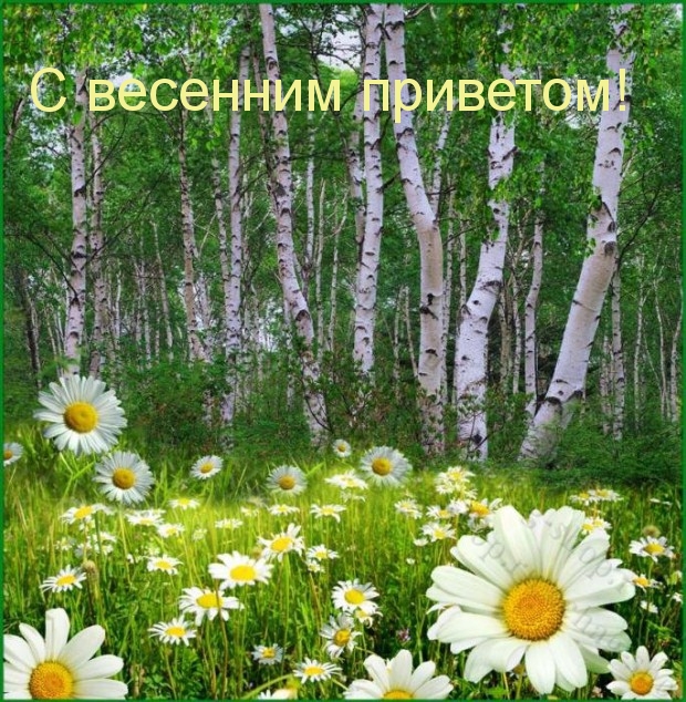 С весенним приветом!