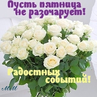 Пусть пятница не разочарует