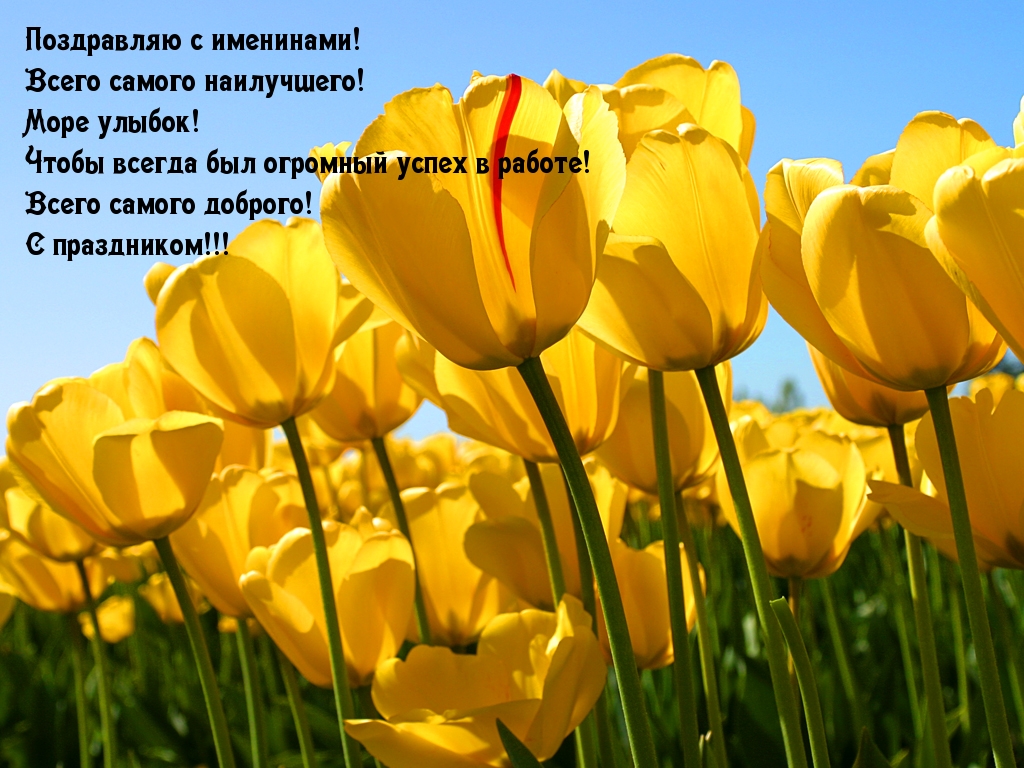 Поздравляю с именинами