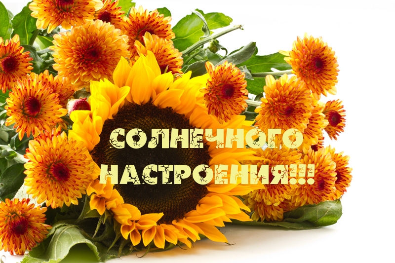 Солнечного  настроения!