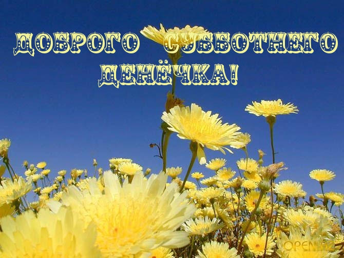 Доброго субботнего денёчка!