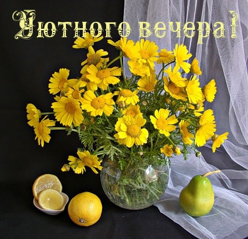 Уютного вечера!