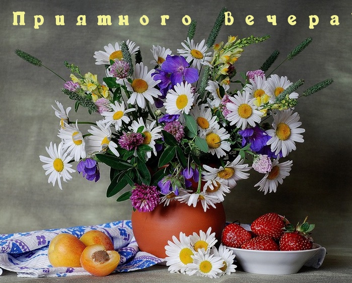 Приятного вечера!