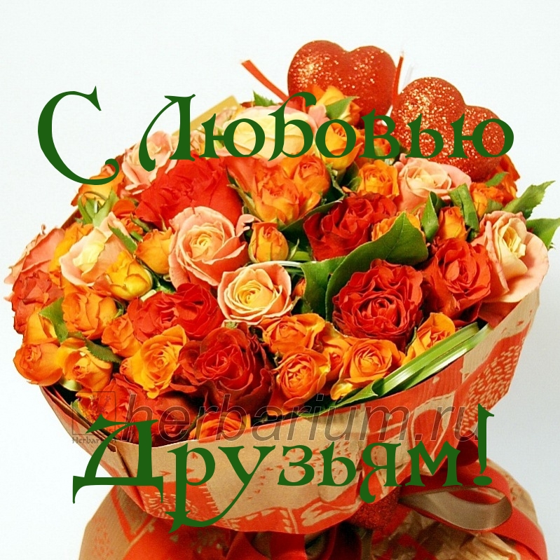 С Любовью Друзьям!