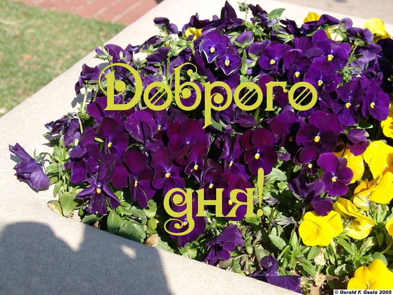 Доброго дня!