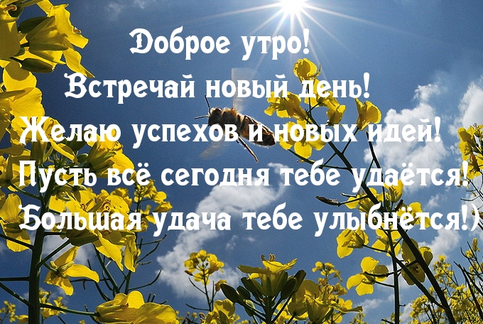 Доброе утро! Встречай новый день!
