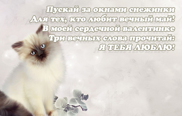 Я ТЕБЯ ЛЮБЛЮ!