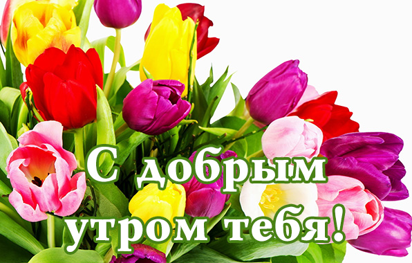 С добрым утром тебя!