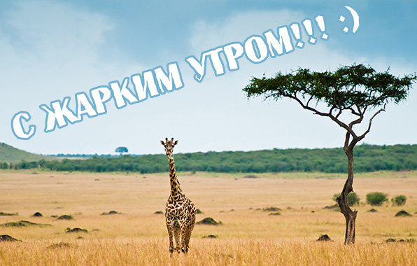 Картинки с надписями.  С жарким утром!.