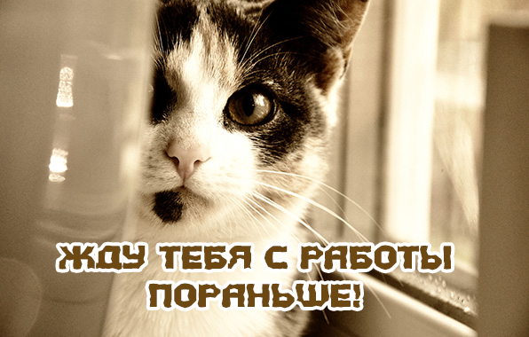 Жду тебя с работы пораньше