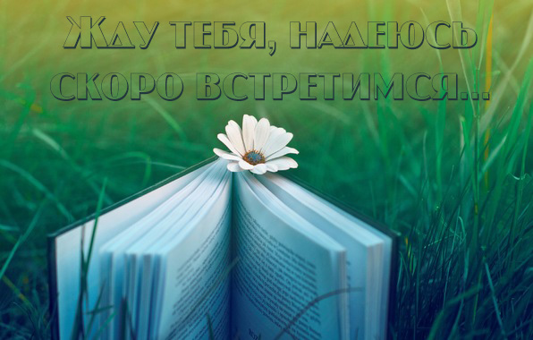 Жду тебя, надеюсь скоро встретимся..